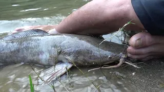 Bushcraft Relaxing - Survival by the beautiful river - Find Food For Survival Ep.04