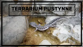 Terrarium dla Gekona lamparciego (Eublefar lamparci - Eublepharis macularius)