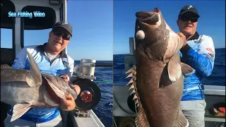 Everyone should watch this Fishermen's video   Amazing Fastest Fish Processing & Fishing Skill on Se