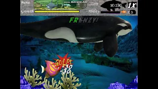 Feeding Frenzy Mod - FF1 Fish Return Part 3