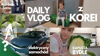 Dzień z życia w KOREI. Daily vlog o WSZYSTKIM -  kimchi, hanbokach, samochodach i dziwnej kawie!