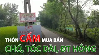 Bí ẩn thôn cấm mua bán chó, tóc dài, điện thoại hỏng ở Quảng Trị | VTC14