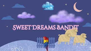 Sweet Dreams Bandit - animated short, Bandit goes to space