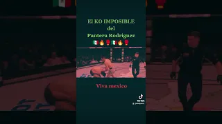 Presta atención 25 seg. al KO imposible del campeón Pantera Rodriguez #ufc #boxing #mma #box #mexico