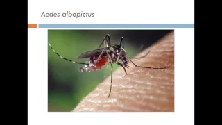 Practical Approaches for Zika Preparedness and Response