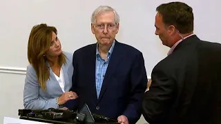 Mitch McConnell Appears to Freeze While Talking to Reporters
