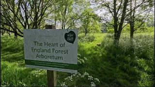 Short circular walk exploring Heart of England Forest Arboretum - Dorsington