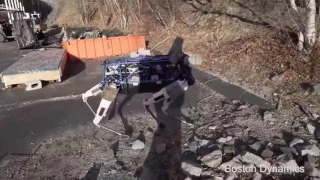 Восстание машин  Кожаные ублюдки Роботы из BostonDynamics