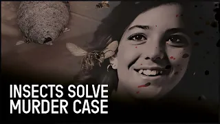 What Happened To Roxanne? Bugs Hold The Crucial Evidence | The New Detectives | Real Crime