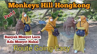 Monkeys Hill Hongkong || Kam Shan Country Park || Full Route