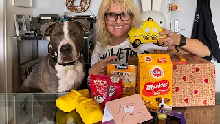 Hudson Unboxing Birthday Gifts from Extra Good Channel Supporter Marjolein from the Netherlands