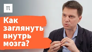 Нейровизуализация — Александр Храмов / ПостНаука