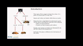 Jamie Ellis presents "Worker honey bees and what they do"