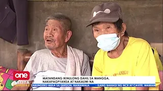 Lolo, ikinulong dahil sa pamimitas ng mangga