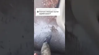 нива на максималках😁✌️👊😉🤦‍♂️