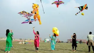 Kite festival in Delhi - 15 Aug (Independence day)