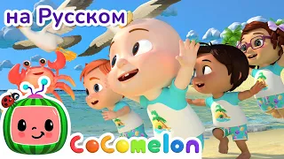 Морские Животные 🐬🐠 | CoComelon на русском — Детские песенки | Мультики для детей