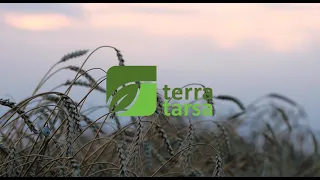 Рідкі добрива від TerraTarsa 2020