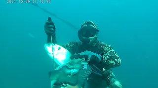 podvodni ribolov komarca 2.1kg.