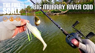 Big Murray River Cod | The Full Scale