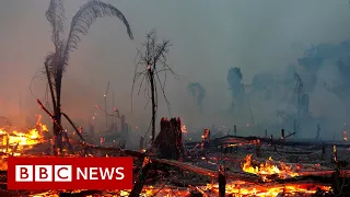 Climate change IPCC report is 'code red for humanity', UN scientists say - BBC News