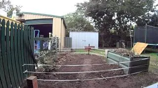 Dog meets electric fence