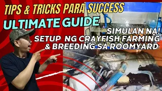 Step-by-Step Tutorial: Paano Magsimulang Mag Set-up ng Crayfish Farming sa Aquarium na nasa Roomyard