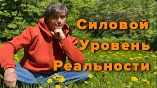 Что такое Силовой уровень | Разные модели сознания