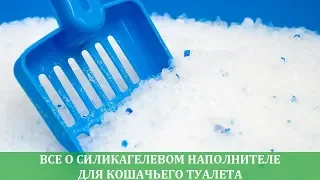 Все о силикагелевом наполнителе для кошачьего туалета