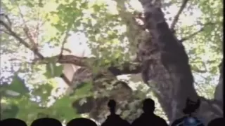 MST3K - Favorite Moments - Time Chasers