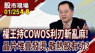 COWOS需求暴增 散熱關鍵角色?靠1張表洞悉散熱材料發展進程!晶片堆疊由誰來散熱?｜20240125(第4/8段)股市現場*鄭明娟(李冠嶔)