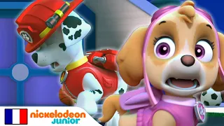 Paw Patrol : La Pat' Patrouille | Marcus le somnambule | Nick Jr.