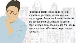 🏠Сборник Новых,Смешных Жизненных Историй ,Для Супер Настроения,На Весь День!