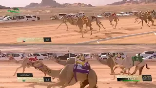 الشوط 1 جذاع بكار مفتوح