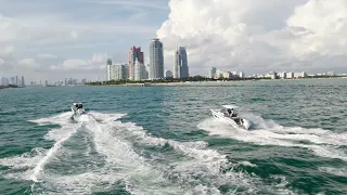 Quarken Boats -  exploring Miami waters