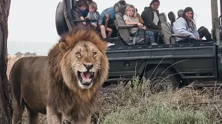 African Safari WITH KIDS!