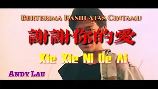 谢谢你的爱 _ Xie Xie Ni De Ai _ Andy Lau _ (Lyrics + Translate)