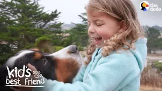 Enormous Dogs Love Taking Care Of Their Little Sister | The Dodo Kid's Best Friend