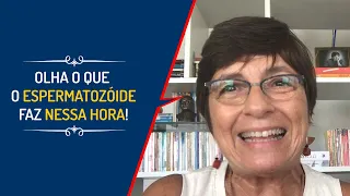 OLHA O QUE O ESPERMATOZÓIDE FAZ NESSA HORA! | Lena Vilela - Educadora em Sexualidade