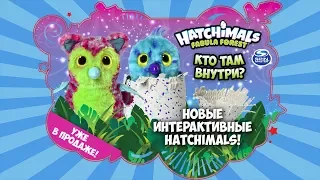 НОВЫЕ Hatchimals Fabula Forest | Обзор Папугастика и Тигретта