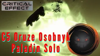C5 Oruze Osobnyk Solo with a Paladin || Wormhole PVE || Critical Effect