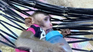 Poor Monkey Girl Say Good Night Sweet Dream