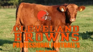 The Cleveland Browns - Professional Football's Lolcow