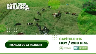 Capítulo 16 - Manejo de la pradera - #ManualPracticoGanadero