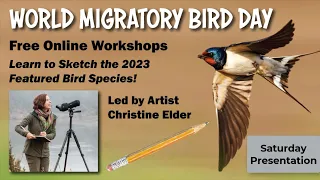 Let's Sketch the 2023 World Migratory Bird Day Featured Species!