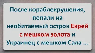 ✡️ Еврейский Анекдот! Еврей и Украинец на Необитаемом Острове!