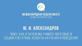 Ю. И. Александров: Мозговые и социокультурные аспекты научения и поведения