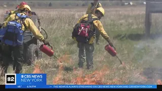 CBS2 follows crews conducting a prescribed burn in Ulster County