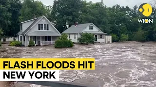 New York's FDR Drive shut down as heavy rain triggers flooding | WION Originals