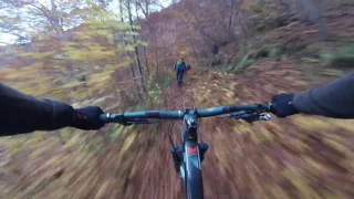 Trail Riding Postavaru with Scoala de Mountain Bike and Benghea Florin